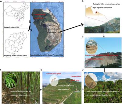 A Trait-Based Protocol for the Biological Control of Invasive Exotic Plant Species